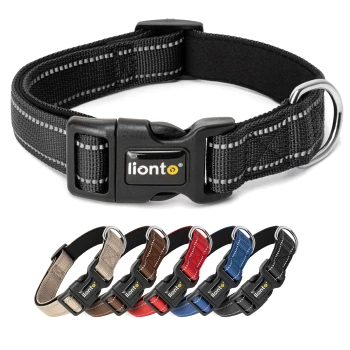 Schwarzes verstellbares Haustierhalsband mit reflektierenden Nähten und einer Kunststoffschnalle, mit dem Logo "liontö."