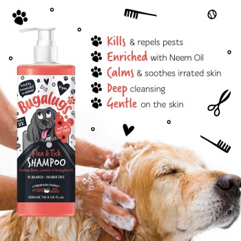 Bugalugs Neemöl – Floh- und Zeckenshampoo für Hunde mit praktischem Pumpdosierer