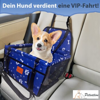 Ein Hund sitzt bequem in einem blauen Autositz für Haustiere mit Pfoten- und Knochenmustern, gesichert in einem Fahrzeug, um sicheres Reisen für Haustiere zu fördern.