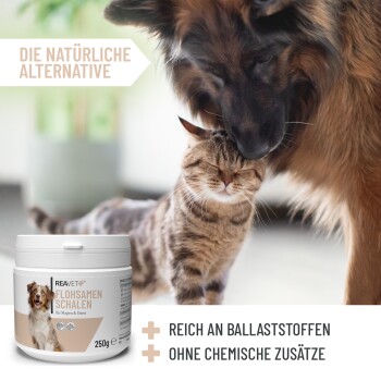 Ein Hund und eine Katze schnüffeln sich an, mit einem Behälter von REAVET Flohsamen Schalen (250g) mit der Aufschrift "DIE NATÜRLICHE ALTERNATIVE" in der Nähe.