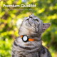 Verstellbares schwarzes Halsband für Katzen, geeignet für Halsgrößen von 20 bis 31 cm, mit einer Länge von 20-31 cm.