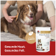 Braun-weißer Hund, gebürstet, neben einer Doppelherz-Tasche ‚Haut & Fell‘, Badge ‚LECKERE CHEWS‘, Text ‚Gesunde Haut. Gesundes Fell.‘