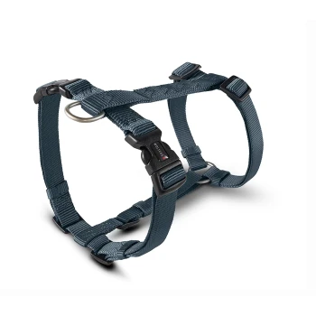 Blaues verstellbares Nylon-Hundegeschirr mit schwarzer Kunststoffschnalle mit der Aufschrift „WOLTERS“ und Metall-D-Ring.