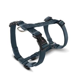 Blaues verstellbares Nylon-Hundegeschirr mit schwarzer Kunststoffschnalle mit der Aufschrift „WOLTERS“ und Metall-D-Ring.