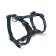 Blaues verstellbares Nylon-Hundegeschirr mit schwarzer Kunststoffschnalle mit der Aufschrift „WOLTERS“ und Metall-D-Ring.