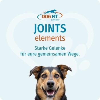Dog Fit Gelenkwerbung auf hellblauem Hintergrund: 'DOG FIT', 'JOINTS elements' und 'Starke Gelenke für eure gemeinsamen Wege.' Hundebild, Gesicht unscharf.