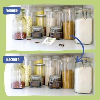 Vorher- und Nachher-Bilder eines Vorratsregals mit Gläsern, die Kakerlaken entfernt zeigen; Text "VORHER" und "NACHHER" sichtbar.