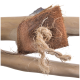 Natürlicher Holzspielzeug für Haustiere mit einer strukturierten Kokosfaserbefestigung und einem geknoteten Sisal-Seil, ideal zum Kauen und Spielen.