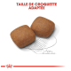 Deux croquettes pour animaux de compagnie marron sur un contour esquissé avec une règle, étiquetées "Taille de croquette adaptée" en texte rouge gras au-dessus.