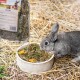 Graues Kaninchen frisst getrocknete Kräuter aus einer Schale neben einem Beutel PANTO Löwenzahn-Tierfutter auf Stroheinstreu.