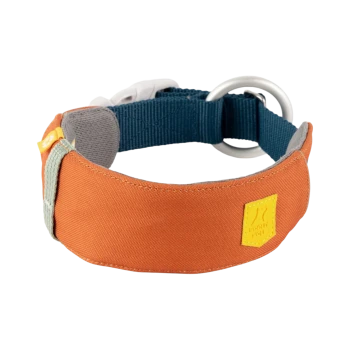 Orangefarbenes, gepolstertes Hundehalsband mit marineblauem Gurt, weißer Schnalle, Metall-D-Ring und gelbem Logo-Anhänger.