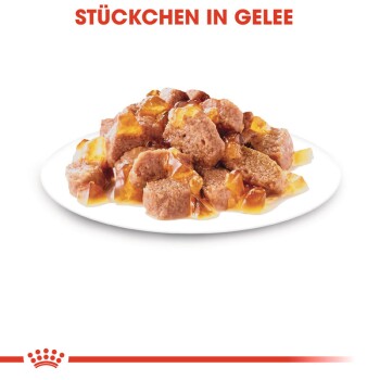 ROYAL CANIN Sterilised in Gelee 12x85 g