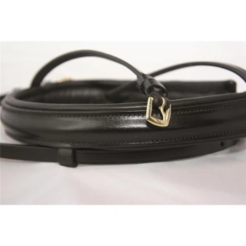 Schwarze Leder-Hundeleine mit einer goldenen Schnalle, ordentlich auf einer weißen Oberfläche aufgerollt.