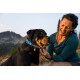 Nahaufnahme eines Rottweilers mit einem blauen Halsband und einem Anhänger, der sanft von einer Person im Freien mit Bergen im Hintergrund gestreichelt wird.