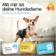 Beagle in einem schwarzen Mantel mit Merkmalen: "Bester Komfort für Ihren Hund", "super saugfähig", "5 Größen", "3 Anpassungen", "weiche Fütterung."