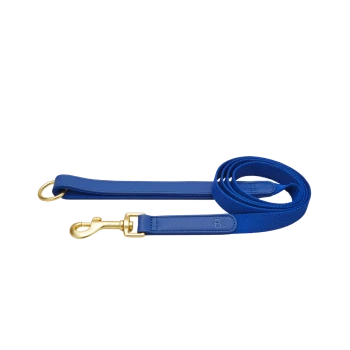 Blaue Hundeleine mit einem goldenen Clip und einem Schlaufenhandgriff, auf einem weißen Hintergrund präsentiert.