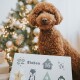 Adventskalender für Hunde 2024