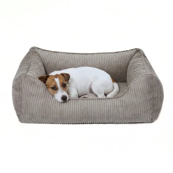 Graues gestreiftes Haustierbett mit erhöhten Rändern, das ein weiches Innenleben und ein kleines Etikett mit der Aufschrift 'PAW NOW' hat.