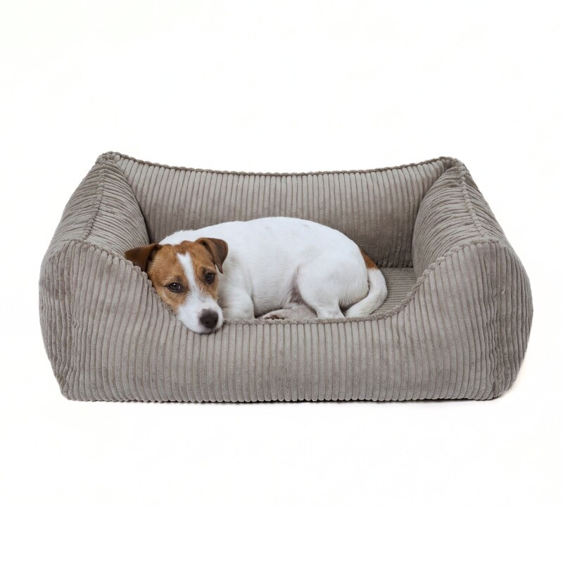 PAW WOW Hundebett ANTON Cord Grau M