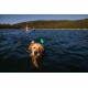 Ein Golden Retriever schwimmt in einem See, trägt ein blaues Geschirr und ein grünes Schwimmgerät, während im Hintergrund eine Person Kajak fährt.