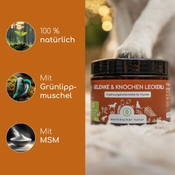 Ein Glas mit "Gelenke & Knochen Leckerli" Hundesnacks, gekennzeichnet als 100% natürlich, mit Zutaten wie Grünlippmuschel und MSM.