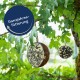 Zwei runde Vogelfutterspender aus Samen, die von einem Baumzweig hängen, mit dem Text 'Ganzjahresfütterung' in einem blauen Kreis darüber.