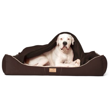 Ein großer weißer Hund, der bequem auf einem braunen Haustierbett ruht, teilweise mit einer Decke bedeckt, mit einem Holzschild, das "Bierendor" beschriftet ist.