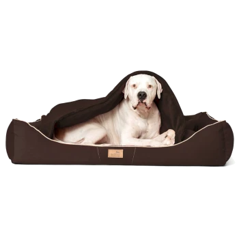 Ein großer weißer Hund, der bequem auf einem braunen Haustierbett ruht, teilweise mit einer Decke bedeckt, mit einem Holzschild, das "Bierendor" beschriftet ist.