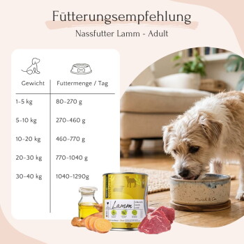 Dose mit Haustierfutter, beschriftet mit "Lamm", mit Lamm, Süßkartoffel, Karotte und Leinsamenöl; behauptet 100% Geschmack und allergiefreundlich.