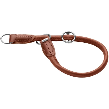 Braunes Lederhalsband für Hunde mit silbernen Ringen und Nähdetails, mit einem kleinen Logoanhänger.