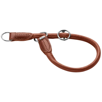 Braunes Lederhalsband für Hunde mit silbernen Ringen und Nähdetails, mit einem kleinen Logoanhänger.