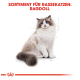 Illustration einer Ragdoll-Katze mit blauen Augen und einem flauschigen Fell, begleitet von dem Text "SORTIMENT FÜR RASSEKATZEN: RAGDOLL."