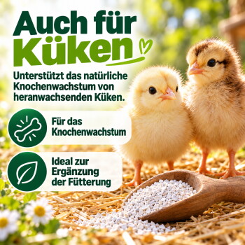 Ein bunt geschecktes Huhn läuft auf grünem Gras, mit einem anderen Huhn unscharf im Hintergrund. Der Text darunter sagt "NATÜRLICHE HALTUNG für glückliche Hühner."