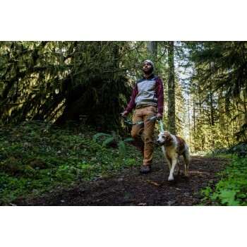 Eine Person führt einen Golden Retriever auf einem Waldweg, umgeben von üppigem Grün und hohen Bäumen.