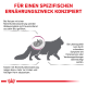 Infografik über die Katzenernährung für die Nierenfunktion, mit einer Silhouette einer Katze, einer Nierenillustration und Text zu Ernährungsbedürfnissen und Symptomen.