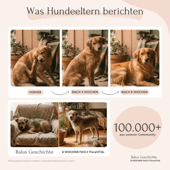 Behälter mit FloraVITAL Haustierergänzungspulver, ein Holzlöffel streut Pulver, ein kleines Glas mit Samen und eine gelbe Blume.