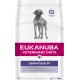 Eukanuba Veterinary Diets Dermatosis FP Hundefutterbeutel mit einem grauen Hund, der die diätetische Unterstützung für die Hautfunktion betont.