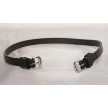 Schwarzes Leder-Haustierhalsband mit silbernen Schnallen, flach auf einem hellen Hintergrund ausgelegt.