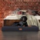 ® FLOKI ORTHO PLUS Orthopädische Hundematte aus Plüsch & High-Tech-Velours schwarz 1,2 m, 13 cm, 90 cm