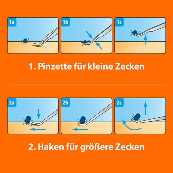 Illustration, die die Schritte zum Entfernen von Zecken von Haustieren mit einer Pinzette für kleine Zecken und einem Haken für größere Zecken zeigt, mit deutschen Textanweisungen.