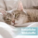Nahaufnahme einer grau getigerten Katze, die auf gestreiften Laken ruht; eingeblendeter Text: 'Natürliche Wirkstoffe'.