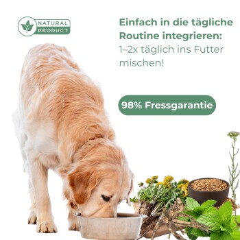 Golden Retriever frisst aus einer Schüssel mit Naturprodukt-Label und deutschem Text über Fütterungsroutine und 98% Fressgarantie.