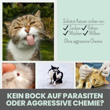 Verspielte Katze, die ihre Zunge herausstreckt, mit Bildern von einem Zecken, einer kratzenden Katze und einem Tierarzt. Text betont den Parasiten-Schutz ohne scharfe Chemikalien.