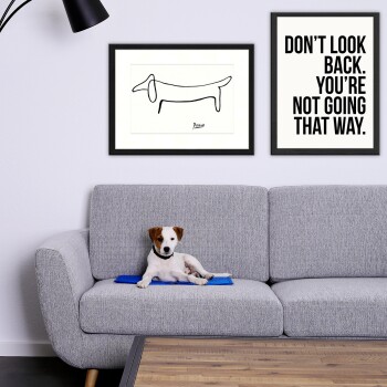Ein kleiner Hund liegt auf einem grauen Sofa mit einer blauen Matte, umgeben von gerahmten Kunstwerken mit einer einfachen Hundeskizze und einem motivierenden Zitat.