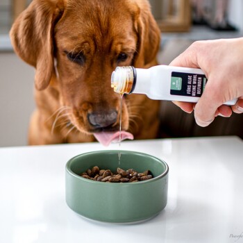 Hand drückt Flüssigkeit aus einer Flasche mit der Aufschrift 'FURS ALGE MEINE WOHLBEFINDEN' auf Trockenfutter in einer grünen Schüssel, Hund im Hintergrund unscharf.