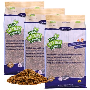 Drei Beutel Lyra Nature Power Haustierfutter mit Mehlwürmern und Soldatenfliegenlarven-Mix, jeweils 5 kg.