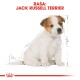Ilustracja Jack Russell Terriera siedzącego, z wymiarami i podpisem, na białym tle z czerwonymi akcentami.