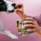 Person füttert einem schwarz-weißen Hund ein Leckerli aus einer Dose mit der Aufschrift 'ANALDRÜSEN DROPS' und Cartoon-Hund auf dem Etikett.