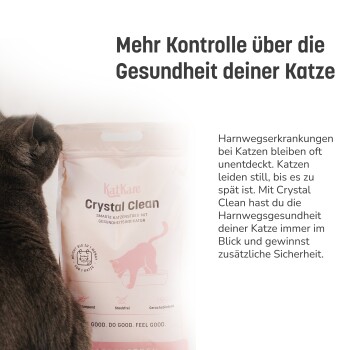 Graue Katze schnuppert an einer Tüte KatKare Crystal Clean Katzenstreu mit Gesundheitsindikator, deutscher Text über Kontrolle der Harnwegsgesundheit.