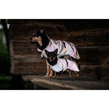 Zwei Hunde in glänzenden, schillernden Regenmänteln mit schwarzen Kragen stehen auf einer Holzbank in einer natürlichen Umgebung.